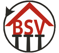 BSV-Express Logo